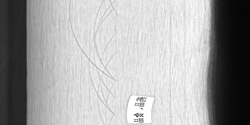 食品药品-跳线检测